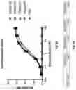 Fig. 09 - Twin Immune Cell Engager