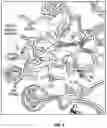 Fig. 22 - ANTI-CLEAVED ICASPASE SUBSTRATE ANTIBODIES AND METHODS OF USE