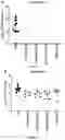 Fig. 02 - LIVE ATTENUATED STRAIN OF STREPTOCOCCUS PNEUMONIAE AND PHARMACEUTICAL COMPOSITIONS COMPRISING A LIVE ATTENUATED STRAIN OF S. PNEUMONIAE