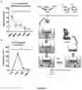 Fig. 02 - THERAPY FOR DEGENERATIVE DISEASE AND TISSUE DAMAGE
