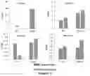 Fig. 08 - METHODS AND COMPOSITIONS FOR THE PRODUCTION OF RHAMNOLIPID