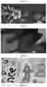 Fig. 02 - THERMAL TRANSFER METHOD AND SYSTEM FOR BLENDED FABRICS AND RELATED BLENDED FABRIC AND ITEMS