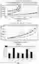 Fig. 05 - RUNTIME TASK SCHEDULING USING IMITATION LEARNING FOR HETEROGENEOUS MANY-CORE SYSTEMS