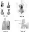 Fig. 09 - Full-body integrated motion capture method