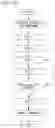 Fig. 08 - ACCESS ROUTE FORMATION METHOD FOR BILE DUCT, ENDOSCOPE TREATMENT TOOL, AND ACCESS ROUTE FORMATION SYSTEM