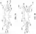 Fig. 07 - OCCLUDER MEDICAL DEVICE