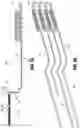 Fig. 12 - Powered surgical devices including strain gauges incorporated into flex circuits