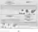 Fig. 02 - PEPTIDE COMPOSITIONS AND METHODS FOR AMELIORATING SKIN LAXITY AND BODY CONTOUR