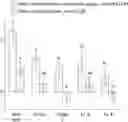 Fig. 01 - PET FOOD COMPOSITIONS
