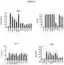 Fig. 02 - TOPICAL FORMULATIONS COMPRISING MONTELUKAST AND COMBINATIONS WITH MUSSEL ADHESIVE PROTEINS