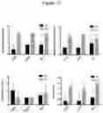 Fig. 08 - TOPICAL FORMULATIONS COMPRISING MONTELUKAST AND COMBINATIONS WITH MUSSEL ADHESIVE PROTEINS