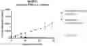 Fig. 01 - SUBSTITUTED 3,6-DIHYDRO-2H-1,3,4-OXADIAZIN-2-ONES FOR THE TREATMENT OF SARCOMA