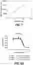 Fig. 07 - MONTBRETIN A FUNCTIONAL FOOD