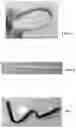 Fig. 04 - EARTH PLANT COMPOSTABLE BIODEGRADABLE SUBSTRATE AND METHOD OF PRODUCING THE SAME