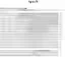 Fig. 21 - Using Truncated Guide RNAs (tru-gRNAs) to Increase Specificity for RNA-Guided Genome Editing