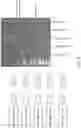 Fig. 07 - GEOMETRIC SYNTHESIS METHODS AND COMPOSITIONS FOR DOUBLE-STRANDED NUCLEIC ACID SEQUENCING