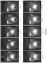 Fig. 34 - Light engine for and method of simulating a flame