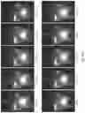Fig. 36 - Light engine for and method of simulating a flame