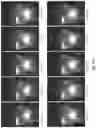 Fig. 38 - Light engine for and method of simulating a flame