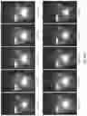 Fig. 40 - Light engine for and method of simulating a flame