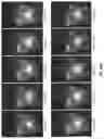 Fig. 46 - Light engine for and method of simulating a flame