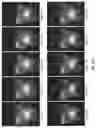 Fig. 49 - Light engine for and method of simulating a flame