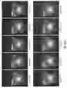 Fig. 62 - Light engine for and method of simulating a flame