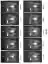 Fig. 68 - Light engine for and method of simulating a flame