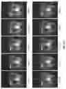 Fig. 71 - Light engine for and method of simulating a flame