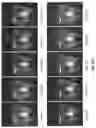 Fig. 86 - Light engine for and method of simulating a flame