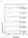 Fig. 06 - Zeta potential measurement method and measurement device