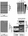 Fig. 04 - EDDY CURRENT MEASUREMENT AND ANALYSIS FOR THE DETECTION OF GRINDING BURNS ON HIGH STRENGTH STEEL THROUGH CHROME PLATING