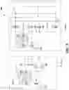 Fig. 10 - LOW NOISE READOUT INTERFACE FOR CAPACITIVE SENSORS WITH NEGATIVE CAPACITANCE