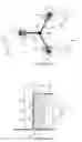 Fig. 03 - DEVICE FOR GENERATING SINGLE PHOTONS AND ENTANGLED PHOTON PAIRS