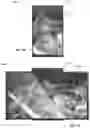 Fig. 02 - MULTI-ORIENTATION DISPLAY DEVICE