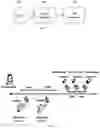 Fig. 02 - DATA STRUCTURES FOR STORING AND MANIPULATING LONGITUDINAL DATA AND CORRESPONDING NOVEL COMPUTER ENGINES AND METHODS OF USE THEREOF