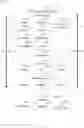 Fig. 18 - TECHNIQUES TO FACILITATE PERSONALIZED, TEXT MESSAGING CAMPAIGNS AT SCALE