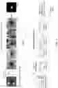 Fig. 02 - QUALITY MAPS FOR OPTICAL COHERENCE TOMOGRAPHY ANGIOGRAPHY