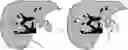Fig. 01 - Forecast of MRI images by means of a forecast model trained by supervised learning