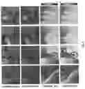Fig. 07 - Passive and single-viewpoint 3D imaging system