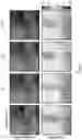 Fig. 08 - Passive and single-viewpoint 3D imaging system