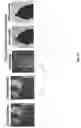 Fig. 11 - Passive and single-viewpoint 3D imaging system