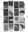 Fig. 12 - Passive and single-viewpoint 3D imaging system