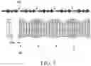 Fig. 07 - ELECTRONIC DEVICE AND CONTROL METHOD FOR CONTROLLING SPEED OF WORKOUT VIDEO