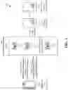 Fig. 02 - SECONDARY CELL GROUP ACTIVATION STATE CONFIGURATION IN MULTIPLE SECONDARY CELL GROUP CONFIGURATIONS