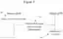 Fig. 08 - METHOD AND APPARATUS FOR APPLICATION AND RESOURCE ALLOCATION WITH SURVIVAL TIME