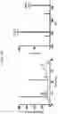 Fig. 07 - COMPOSITION FOR PREVENTING, AMELIORATING, OR TREATING COGNITIVE DYSFUNCTION DISEASE, COMPRISING PEPTIDE HAVING SYNAPTIC PLASTICITY CONTROL FUNCTION