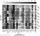 Fig. 149 - TUMOR CELL VACCINES