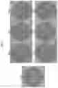 Fig. 09 - Zika vaccines and immunogenic compositions, and methods of using the same
