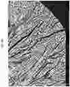 Fig. 05 - Method of preparing positive active material for rechargeable lithium battery